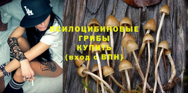 мдпв Верхнеуральск