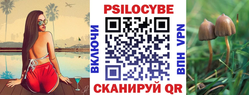 Псилоцибиновые грибы мицелий Киселёвск